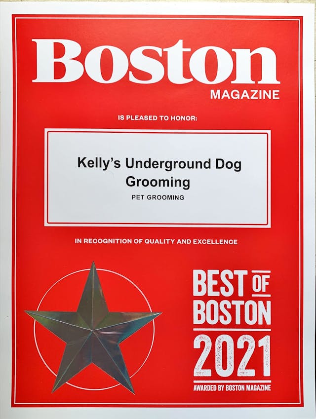 Zertifikat Best of Boston 2021 Kelly's Underground Dog Grooming